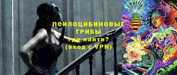 ПСИЛОЦИБИНОВЫЕ ГРИБЫ Володарск
