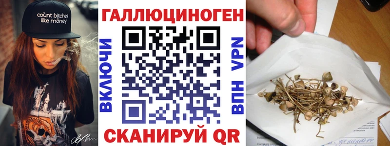 Галлюциногенные грибы GOLDEN TEACHER  купить наркоту  Шахты 