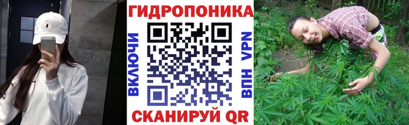 МАРИХУАНА индика Шахты